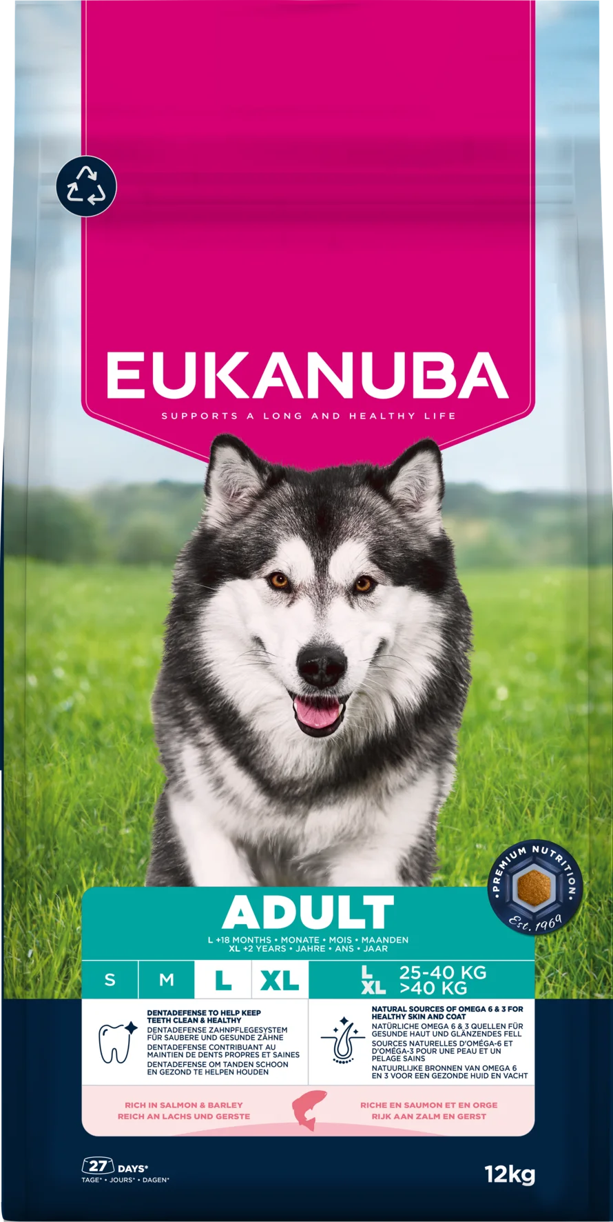 Adult Large Breed Salmon & Barley